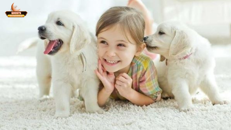Lý giải theo trạng thái cảm xúc và các yếu tố ảnh hưởng đến giấc mơ