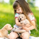 Mơ thấy chó nhỏ xíu - Giải mã ý nghĩa phổ biến