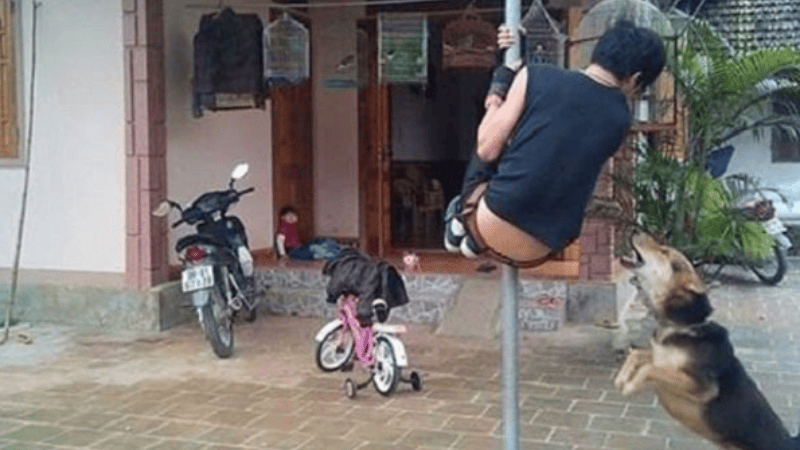 Mơ thấy chó lớn, chó dữ cắn người thân
