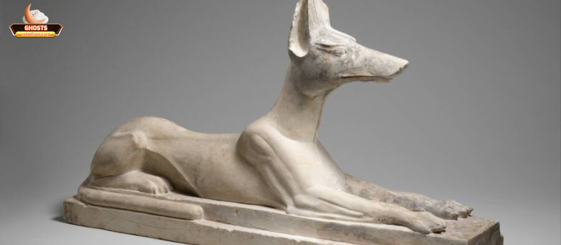 Biểu tượng chó trong văn hóa, tâm linh và biểu tượng học