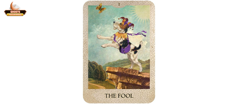 Biểu tượng chó trong các hệ thống bói: giấc mơ, Tarot, chiêm tinh, dân gian