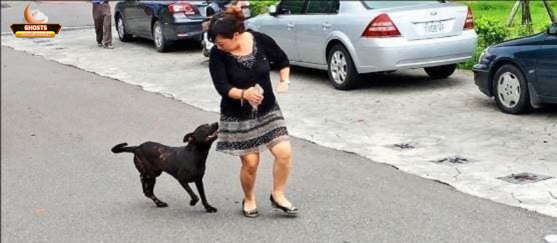 Kết hợp màu sắc với hành vi: đọc đúng điềm tinh tế