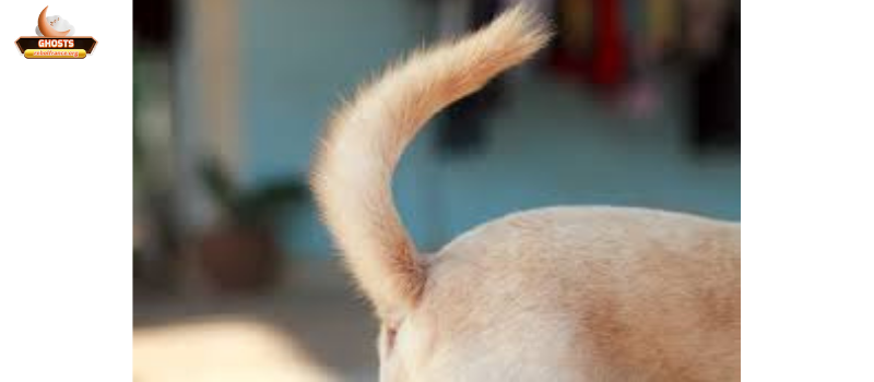 Giải mã ngôn ngữ cơ thể: các tín hiệu chính và ý nghĩa