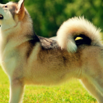 Các tình huống: nhận diện và cách phản ứng phù hợp