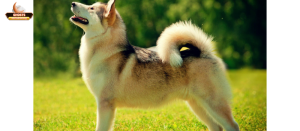 Các tình huống: nhận diện và cách phản ứng phù hợp