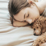 Tổng quan về “vệ sinh giấc ngủ” và tầm quan trọng với thú cưng