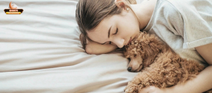 Tổng quan về “vệ sinh giấc ngủ” và tầm quan trọng với thú cưng