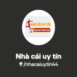 Nhacaiuytin44 – Nguồn Tham Khảo Chuẩn Mực Cho Người Chơi